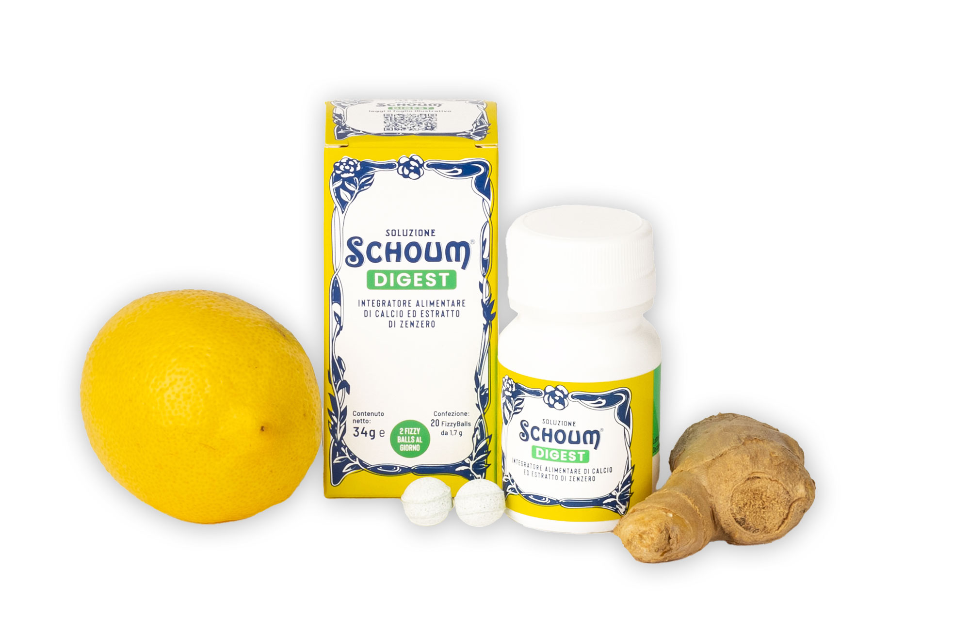 Schoum DIGEST